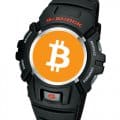 Store Bitcoin seed phrase recovery key on G-Shock G-2900 wristwatch