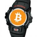 Store Bitcoin seed phrase recovery key on G-Shock G-2900 wristwatch