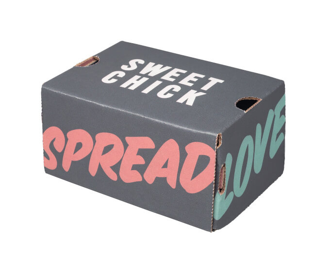 Sweet Chick x G-Shock DW6900LU-8SC Box