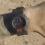 Sportswear brand ASRV teases G-Shock DW-6900 collaboration to be released on January 30